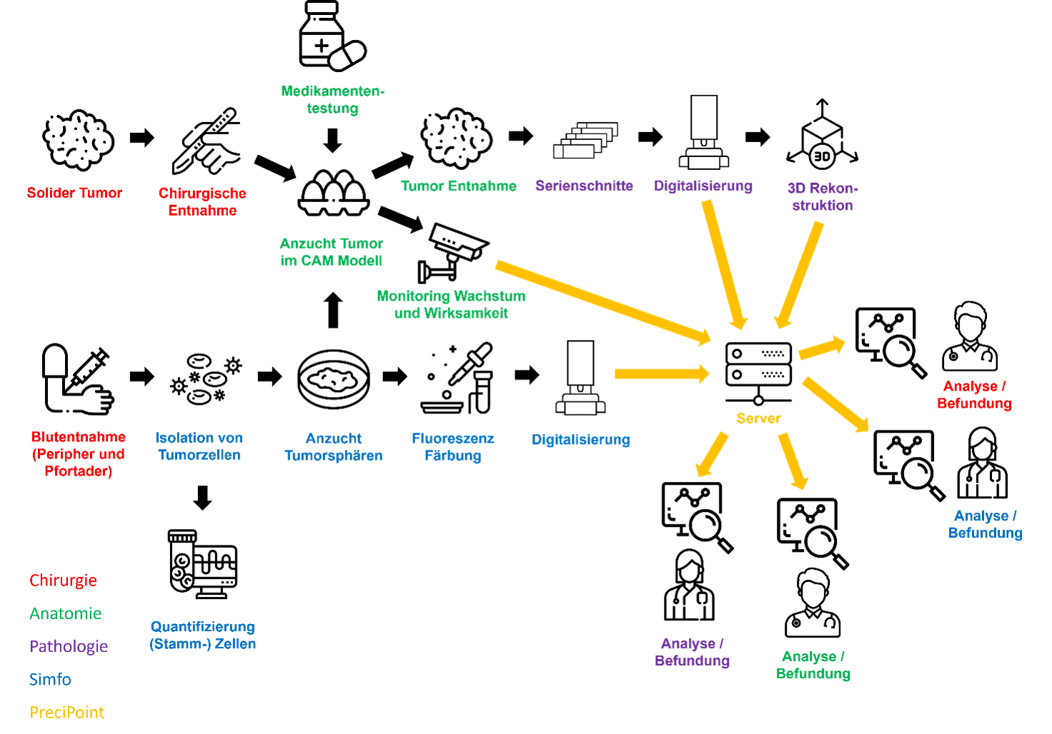 Workflow der Analysen