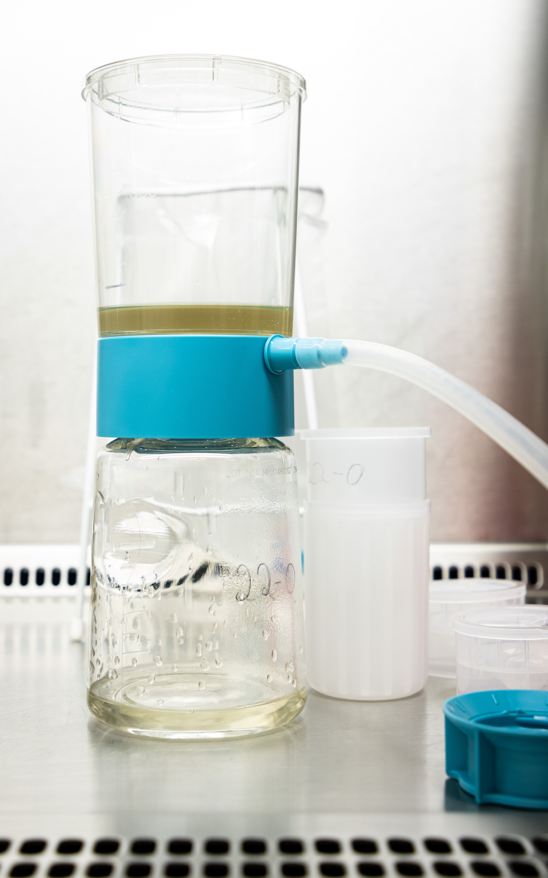 Die Wissenschaftler/-innen filtrierten die bräunliche Brühe.