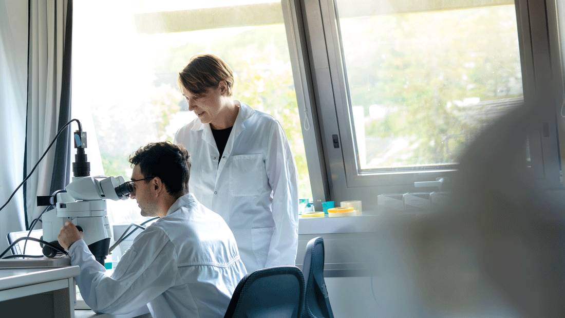 Im Labor am ISTA: Alessandro Venturino und Prof. Sandra Siegert 