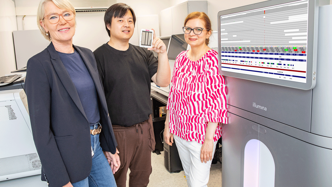 Ein Team unter Leitung der MHH und der Universität Augsburg hat weitere Gene und Genvarianten identifiziert, die mit dem vermehrten Auftreten von Brustkrebs in Verbindung stehen.